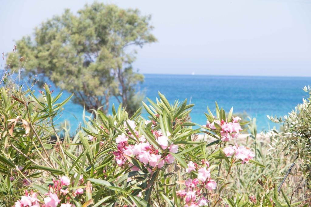 Villa Yialos Antiparos Екстер'єр фото